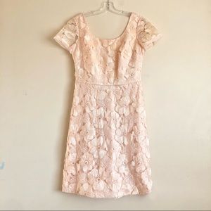 Mikael Aghal Champagne Floral Lace Short Sleeves Knee Length Cocktail Dress
